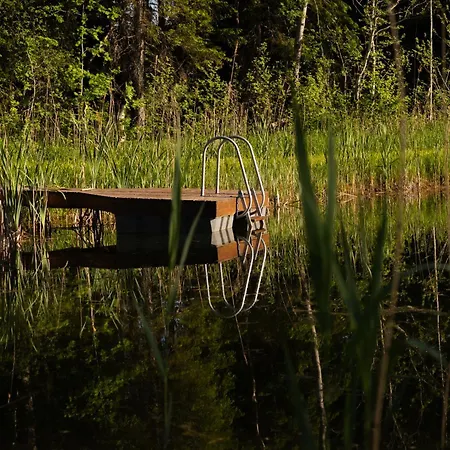 Sauna House With Minilake Voki
