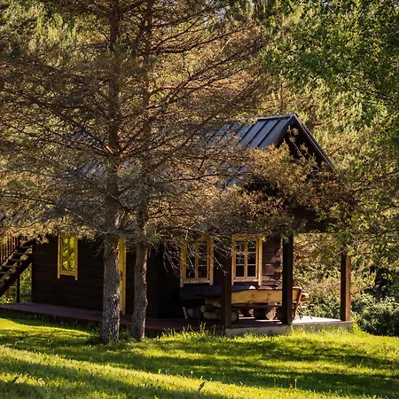 Sauna House With Minilake Voki