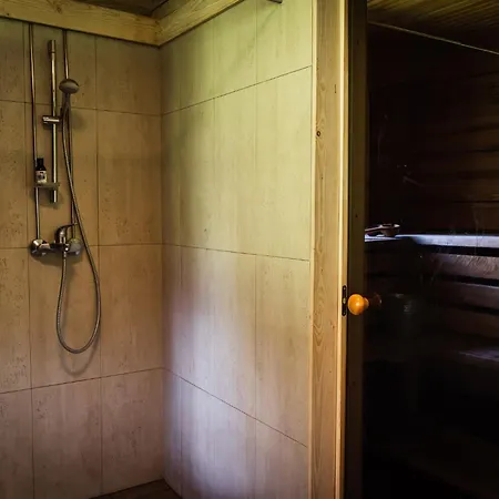 Sauna House With Minilake Voki